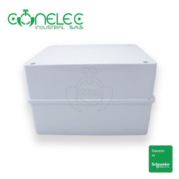 CAJA PASO DEXSON 22X17X8CMS